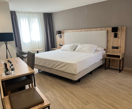 Habitación Hotel ELE Acueducto Segovia